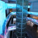 국립해양생물자원관 씨큐리움 이미지