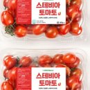 토마토상조