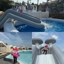 에이디디 관광농원 이미지