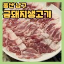 꼬들꼬들생고기 | 원조 꼬들목살 맛집으로 유명한 &#34;울산 금돼지생고기&#34; 내돈내산 후기. 풍자또간집으로 추천하고 싶은...