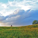 해뜨는 언덕 이미지