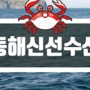 신선수산 이미지