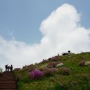 계룡산업(주)덕유산휴게소(하)휴게소 | 2020년에 만난 아름다운 길과 자연 풍경