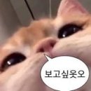 초장중학교 이미지