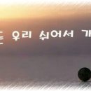 우리 Daum카페