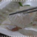 용궁물회 이미지