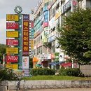 마두공원(정발초 옆) 이미지