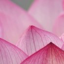 전현수정신건강의학과의원 이미지