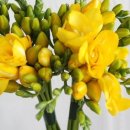 이가네갈비 이미지