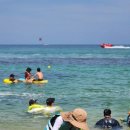 주문진시장약국 이미지