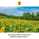 도우미케어 네이버블로그
