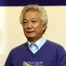 김영애 이미지