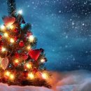 레드스타필드 휘트니스 이미지