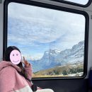 (주)동신교통 | 스위스 융프라우 티켓 가격 예약 할인 총정리 (+신라면 무료 쿠폰)