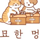 냥이댕이 이미지