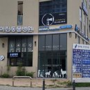 아침동물병원 이미지