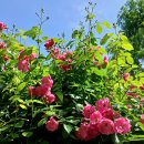 정관 구목정공원 이미지