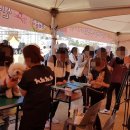 순도리네애견 이미지