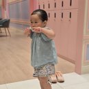 금빛행복나라 이미지