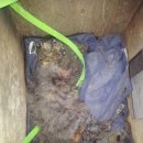 제인동물병원 이미지