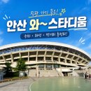 축구보는닭 | [축구직관] 안산 와스타디움 축구 직관 후기 (주차, 좌석, 수원삼성 VS 안산그리너스 경기 직관 리뷰)