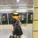 동울산가방 이미지