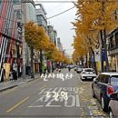 신사동-22 이미지