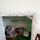 책방활짝 이미지