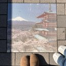 아이디아 | [ 도쿄 3박4일 ] 도쿄 12월 자유여행 일정공유 4일차 후지산투어 내돈내산 히노마루 야키니꾸 무한리필...