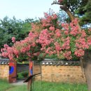 신숭겸장군유적지 이미지