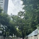 쎄쎄쎄 | 부천 돌잔치 장소 쎄쎄쎄 추천 뷔페 후기