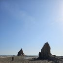 제부콤마씨(JEBU,SEA)