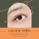 딜리스래쉬