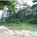 청궁맛집 이미지