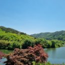 곡성-004 네이버블로그