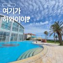 해비치 | 해비치 호텔 수영장 후기｜수영복 없이도 제대로 즐긴 제주 호캉스