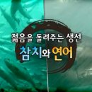 참치랑연어랑
