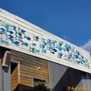 착한까페 | <제주여행 1-2> 카페모알보알 , 일출봉유채밭 , 착한갈치 솔직후기