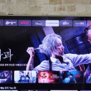 LG유플러스티비 갑자기 쿠팡플레이가 안돼요 ㅠ 이미지