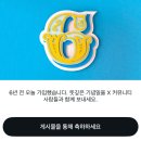 고작 일주일인데 뭐이렇게 많이했담