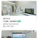 수피아라 A 네이버블로그
