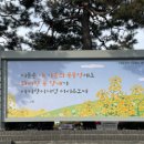 수원-2022 이미지