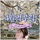 따로 쓰기엔 소소한 4월먹부림 모음집!