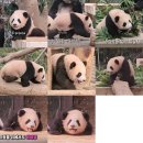 생활을판다 이미지