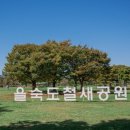 하단동1209 이미지