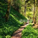 한성마트(1차) | 광주 월곡동 저렴한 아파트전세 광산구 한성아파트