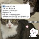 GS25 포항양덕법원점 | 26년 2월의 이야기