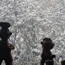 신야춘추 이미지