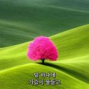 타성! 이미지
