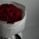 디어파트너 이미지